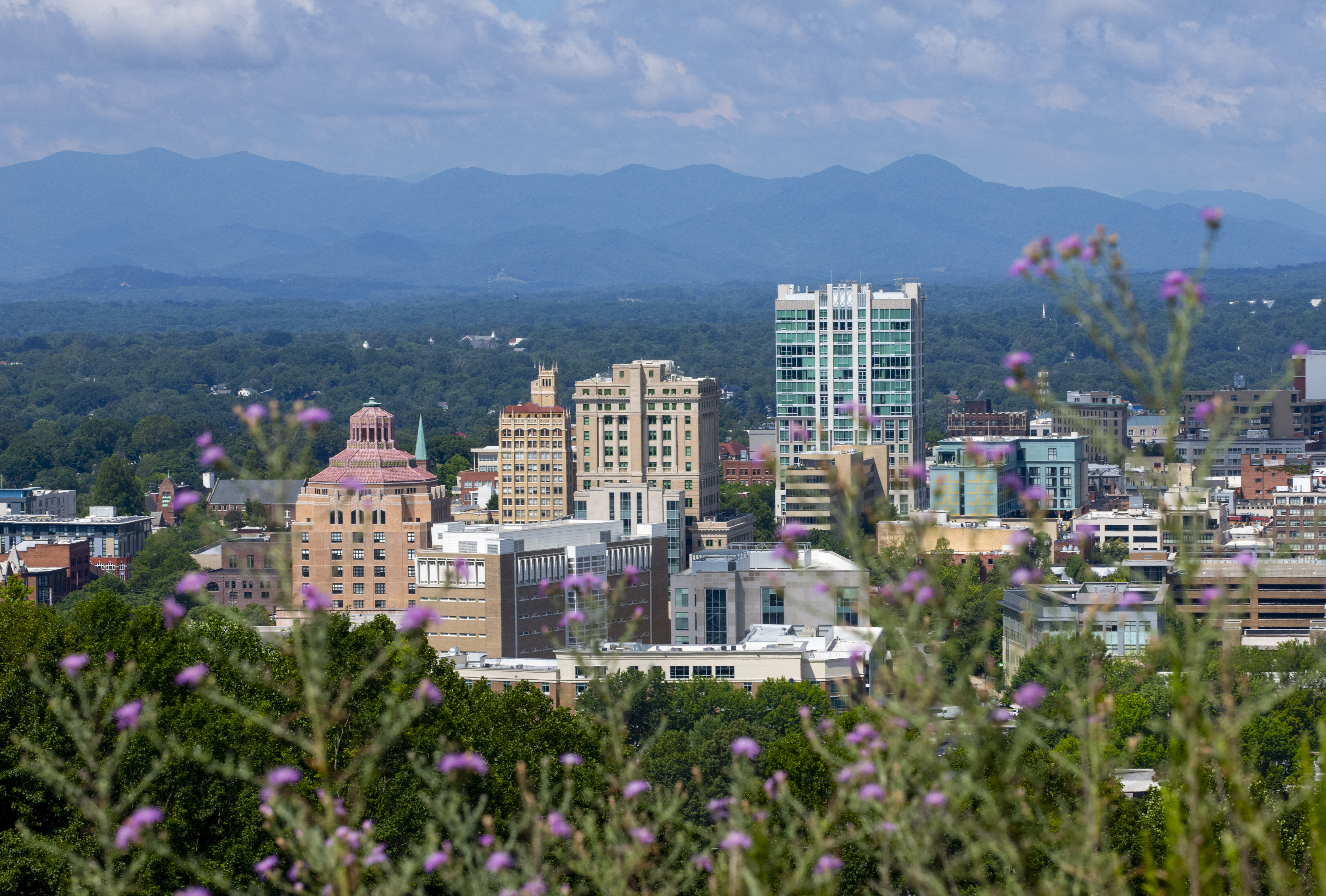 Downtown Asheville buildings with blurred purple flowers in front, green woodland and blue mountain ridges behind