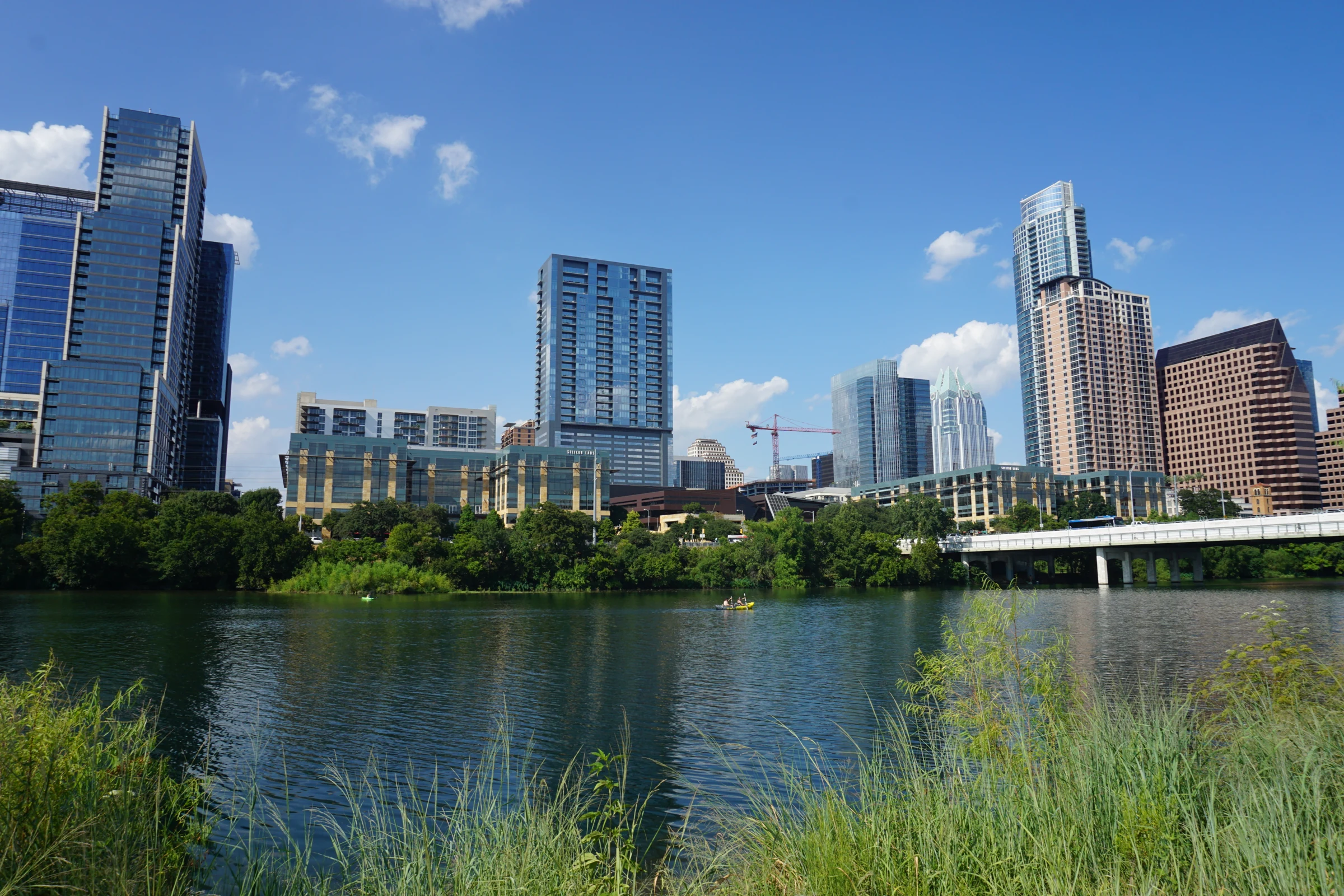 Austin towers across Lady Bird Lake with a bridge to the right and reeds in the foreground