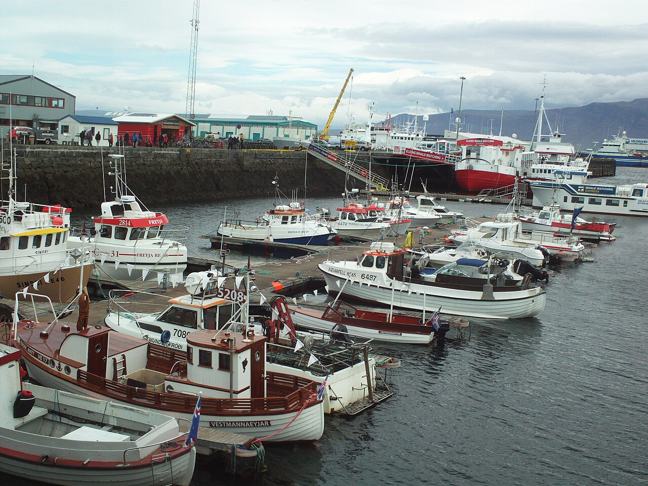 Small fishing boats moored in Reykjavík's Old Harbour with waterfront buildings and mountains behind