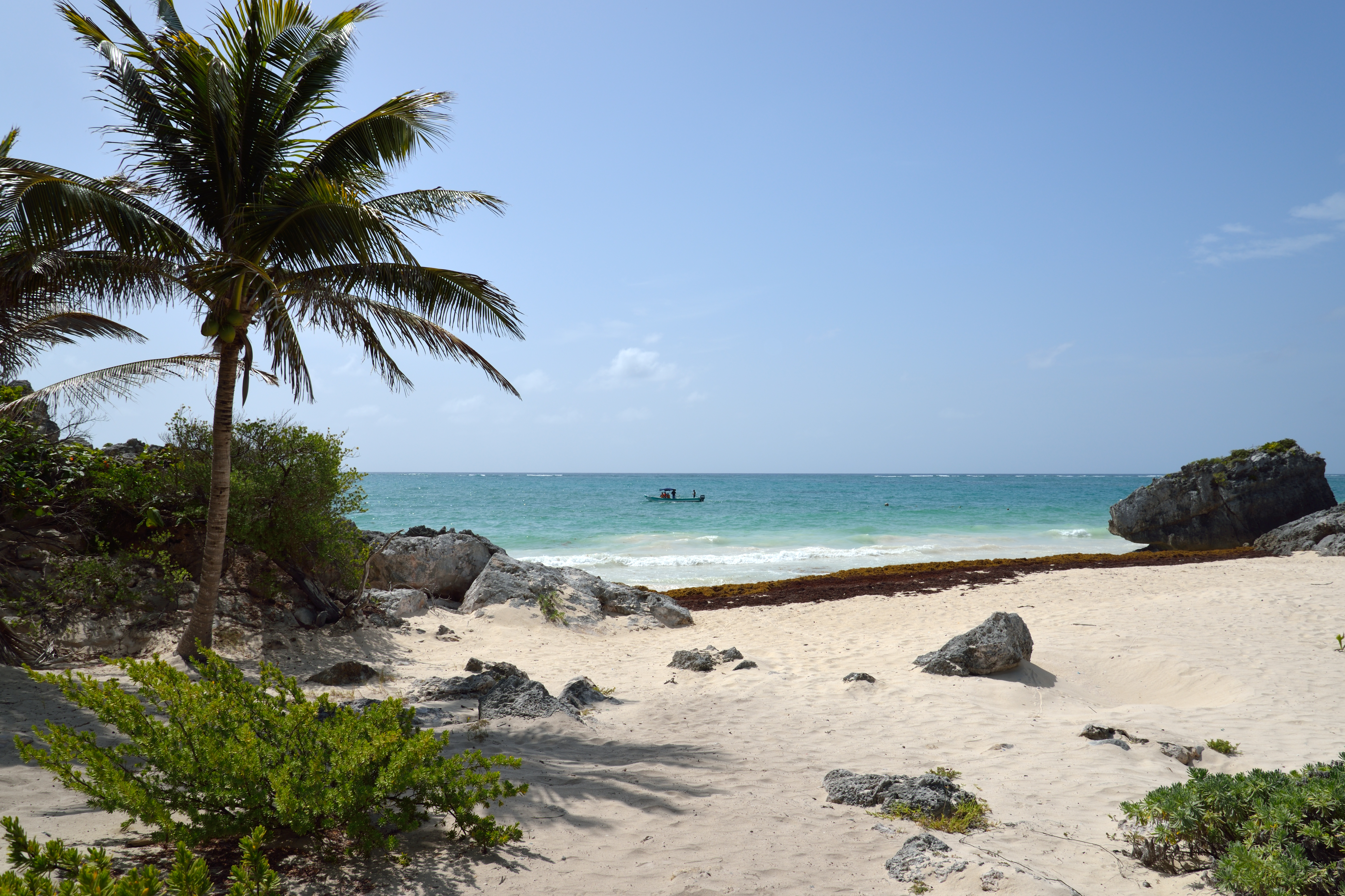 Palm trees and pale rocks beside a sandy Tulum cove, with a seaweed line, turquoise sea and a small boat