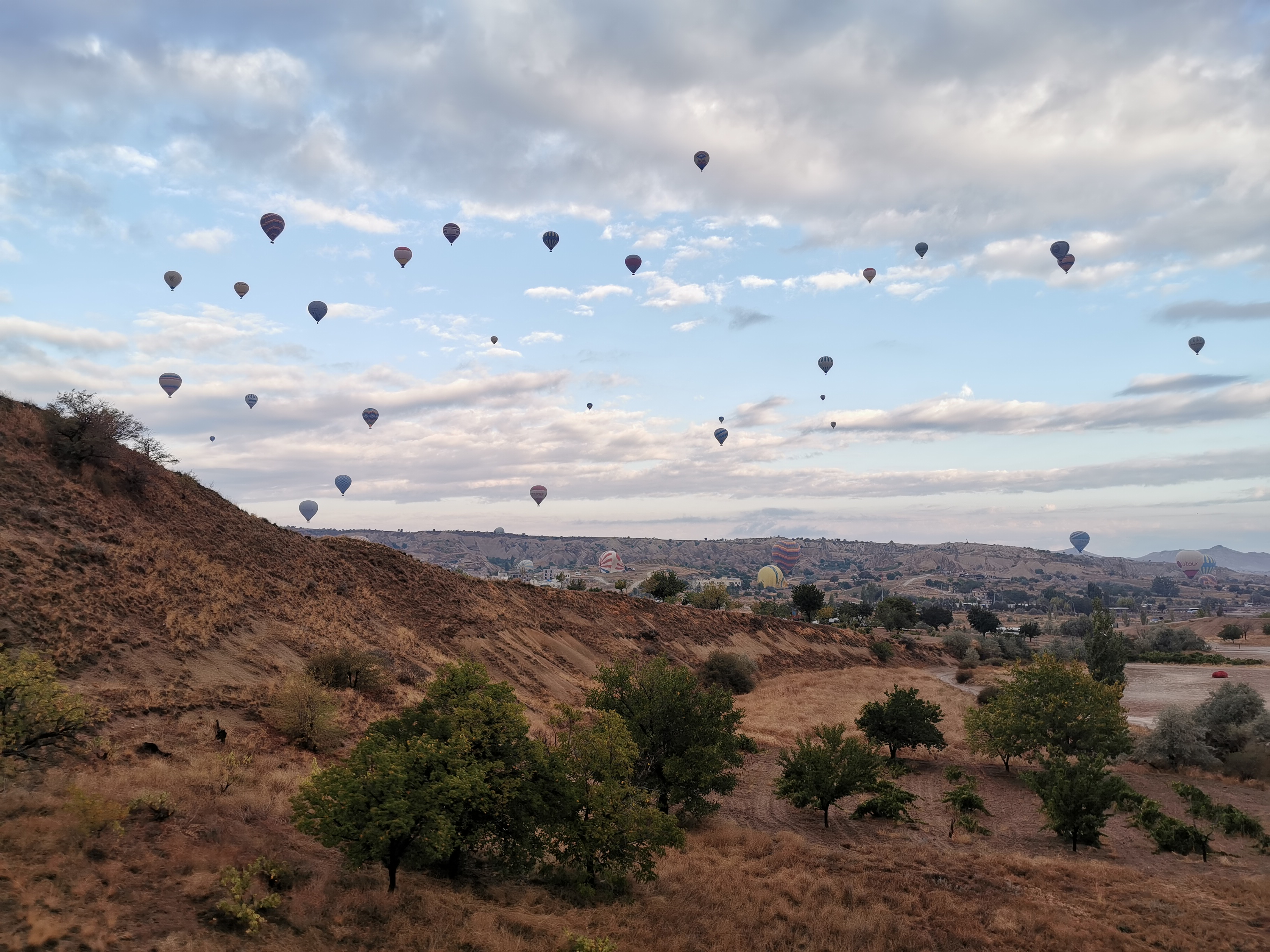 Hot-air balloons above a brown Cappadocia valley with trees and scrub beneath a cloudy blue sky