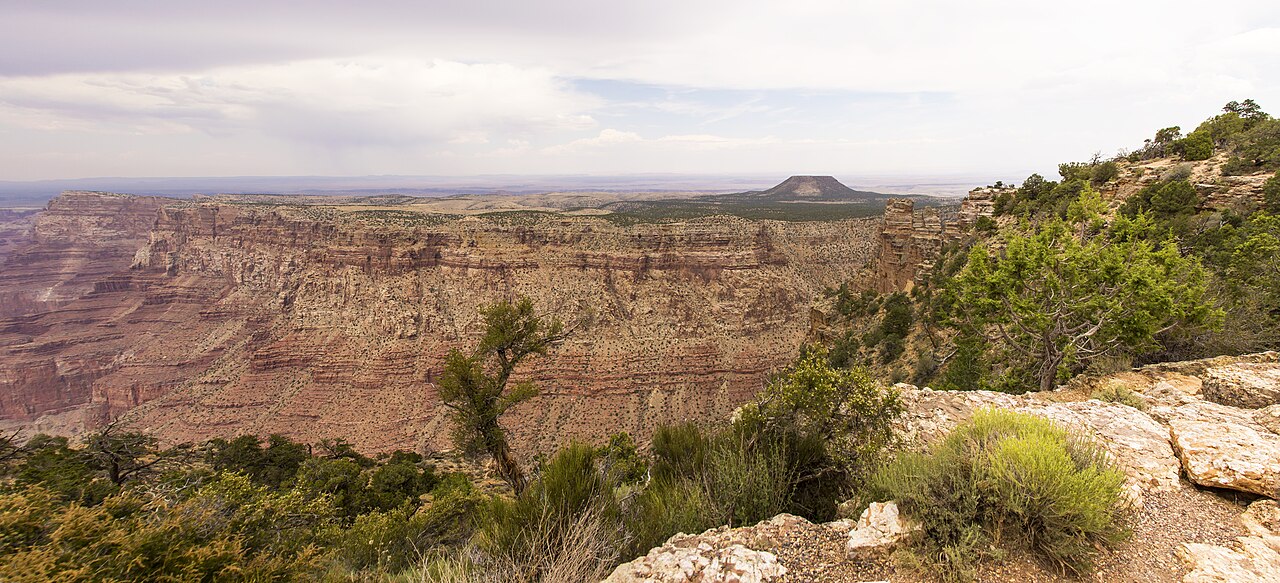 Layered red Grand Canyon cliffs with green shrubs and pale rocks in the foreground beneath a cloudy sky